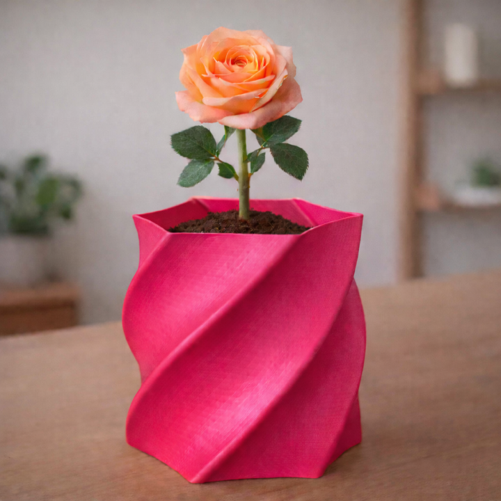 6 Sided Spiral Vase