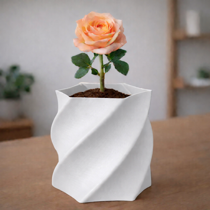 6 Sided Spiral Vase